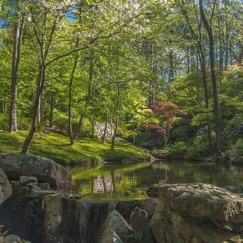 Garvan woodland gardens hot springs ar - Admission to the Garvan Woodland Gardens costs $15 for adults and $5 for children age 4 to 12, while children 3 and younger can enter for free. Golf cart rentals are available for $15, and the ... 